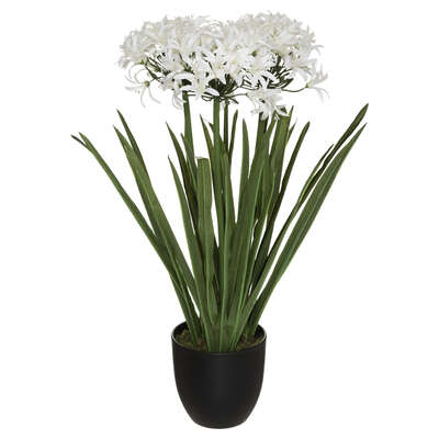 AGAPANTHUS ARTIFICIAL FLORES BLANCAS