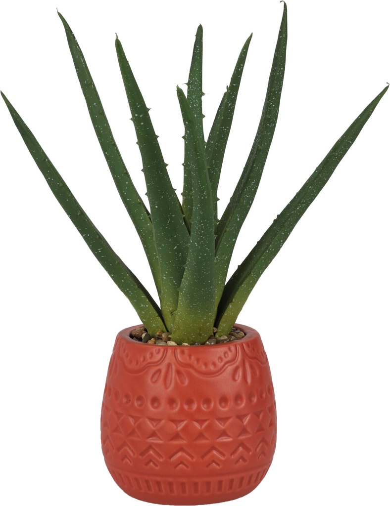 MACETA ALOE VERA 9X28CM