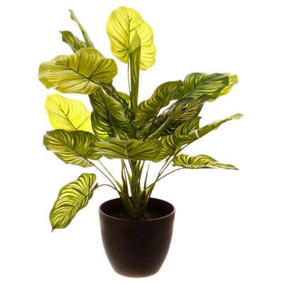 [136512JJ] PLANTA VERDE ARTIFICIAL